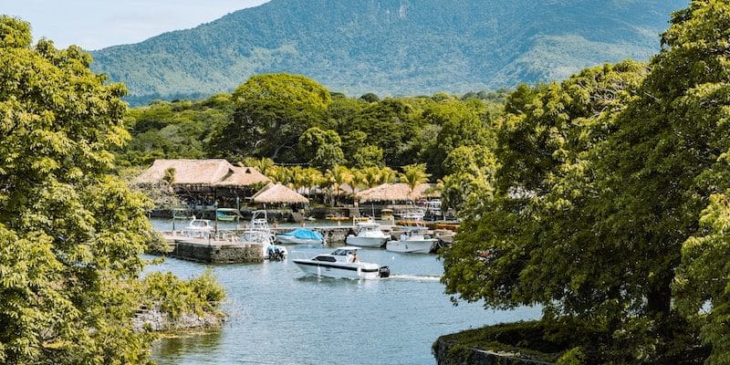 green trees near body of water during daytime